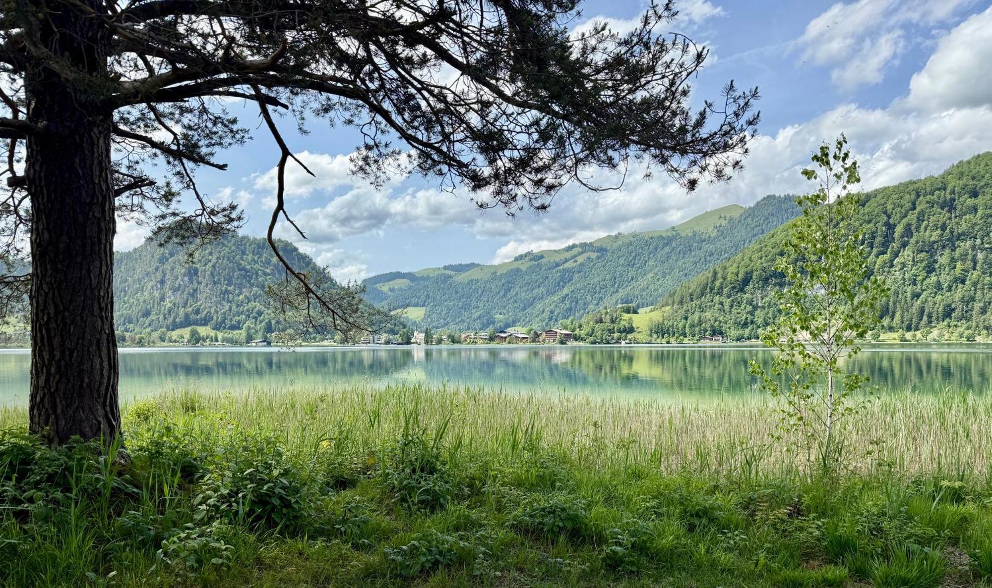 Apartment Liebelei Am See - Traumblick Aufs Kaisergebirge - Nur Ein Katzensprung Zum See Walchsee Exterior photo